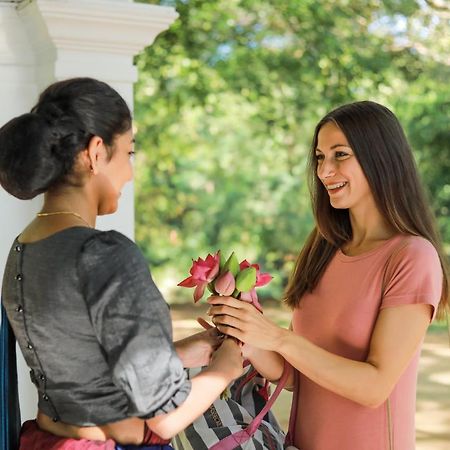 Grand Kalundawa - Dambulla'S Hidden Secret Hotel Екстериор снимка